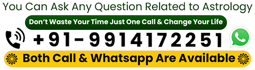 Maulana Sultan Mirza - Muslim Astrologer and Black Magic Specialist in India